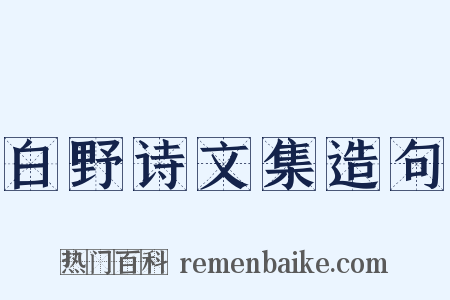 白野诗文集造句是什么意思的图片